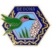 CITY OF SEDONA, AZ HUMMINGBIRD CITY PIN